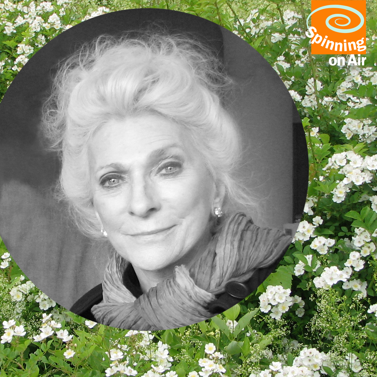 SOA Judy Collins