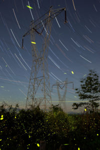 Spinning On Air Pete Mauney's fireflies